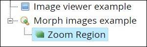 xerte-media-morphimages-zoomregion2.jpg xerte-media-morphimages-zoomregion2.jpg