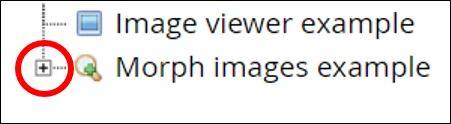 xerte-media-morphimages-zoomregion.jpg xerte-media-morphimages-zoomregion.jpg