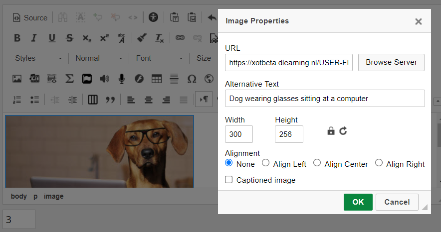 Image properties dialog example