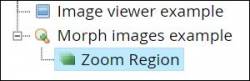 xerte-media-morphimages-zoomregion2.jpg