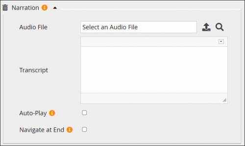 Screenshot of Narration panel when added to editor