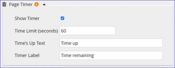 Screenshot of Page Timer panel when added to editor