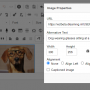 ckeditor-image-alt-text.png